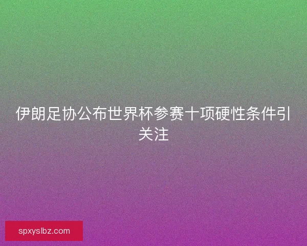 伊朗足协公布世界杯参赛十项硬性条件引关注